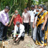 National Plantation Day Environment Program 2022.09.17 - 23 Rukropana Week / Homagama